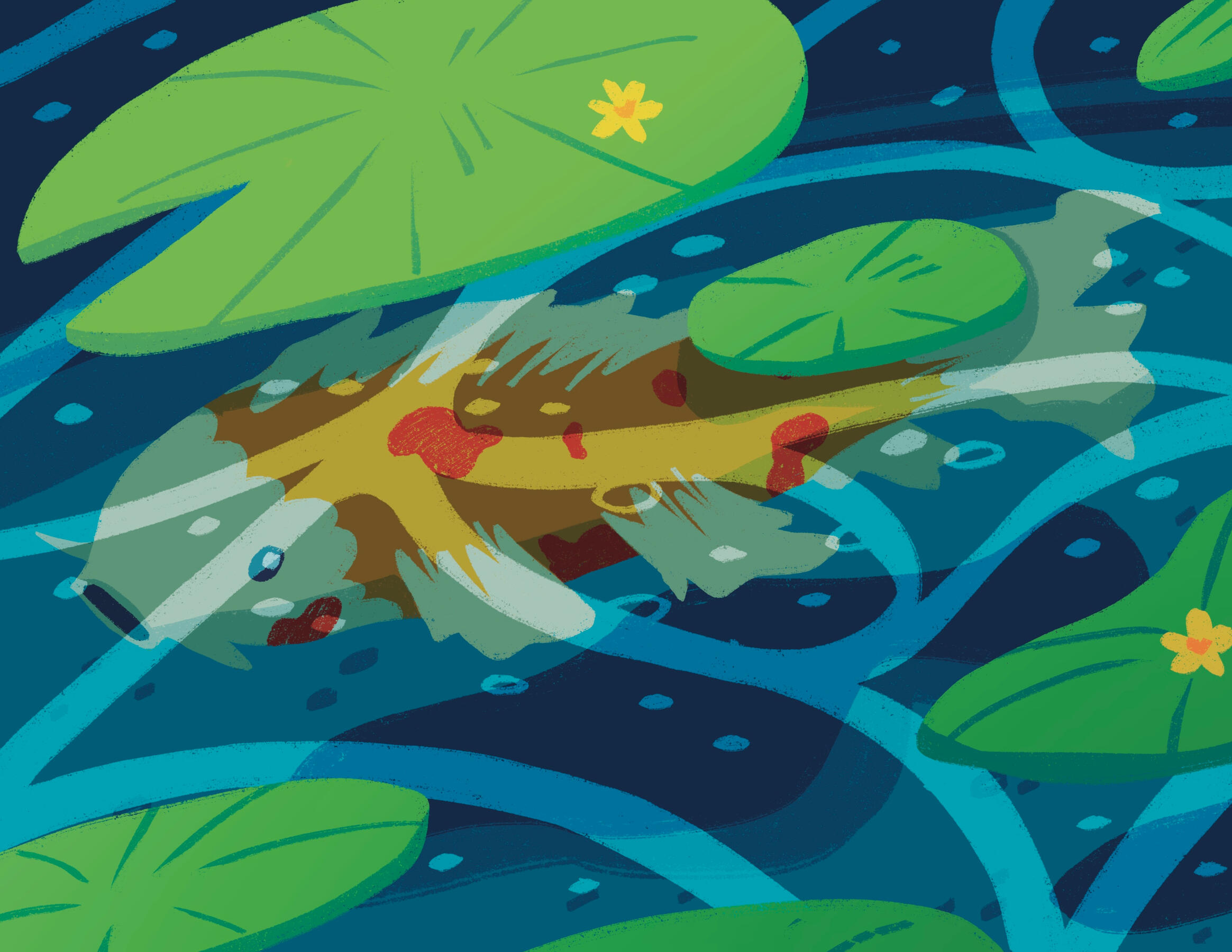 "Koi" : Digital Illustration