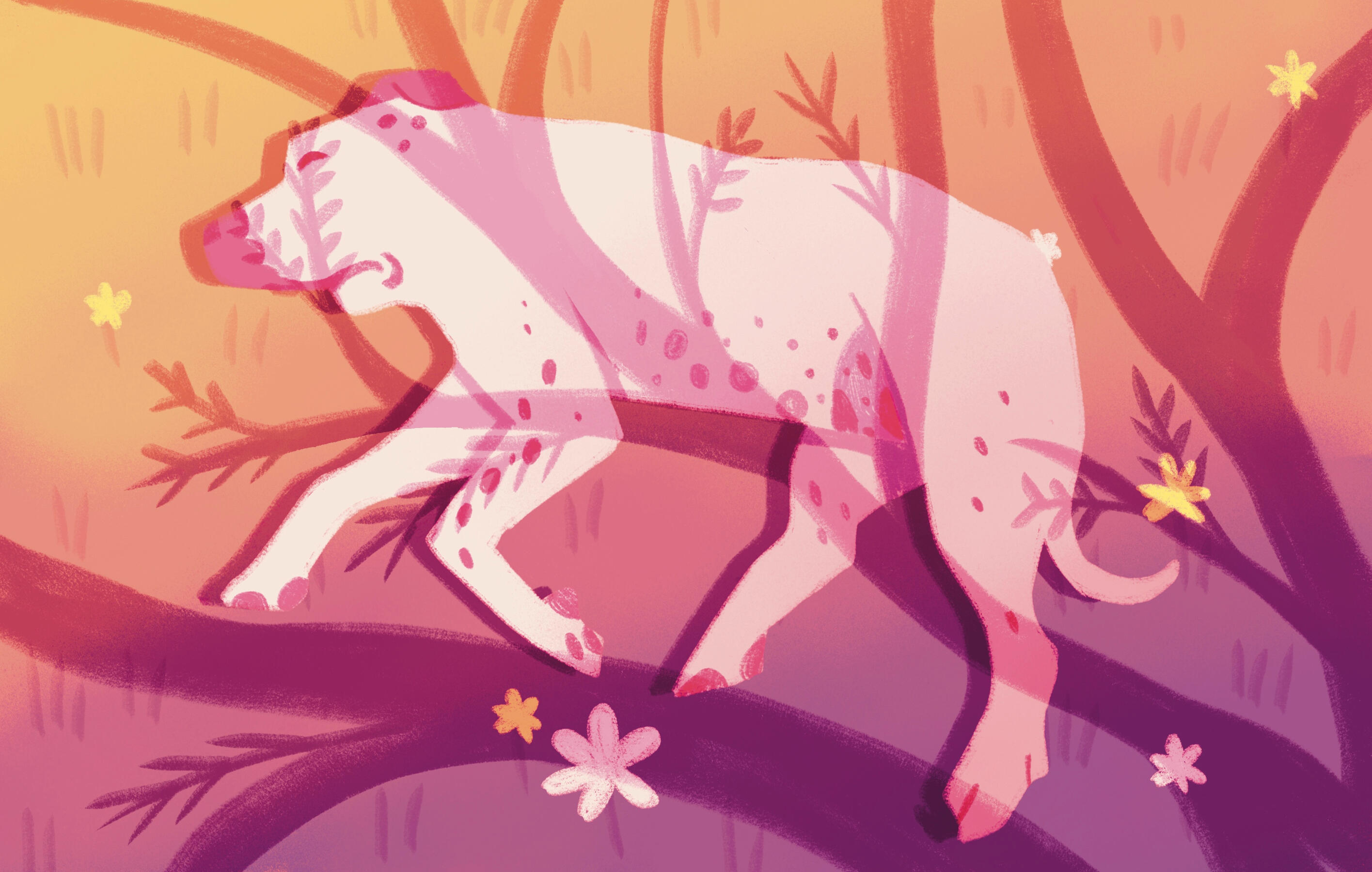 "Sunshine" : Digital Illustration